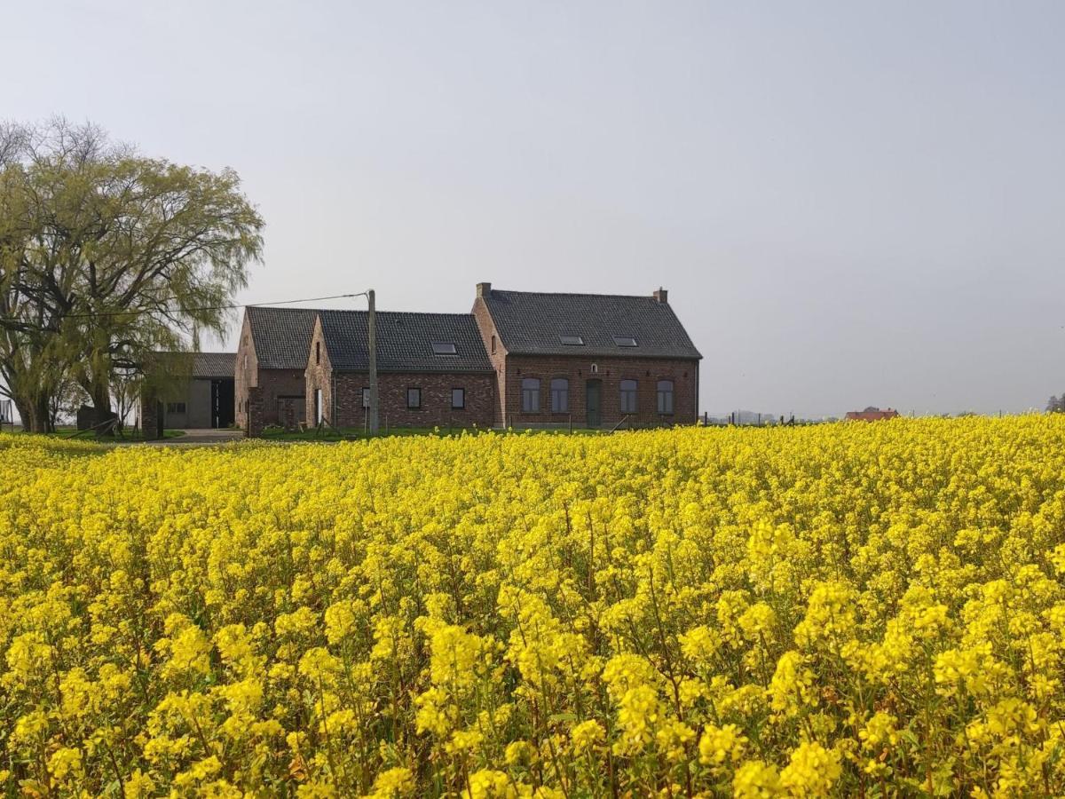 Spacious Holiday Home With Pond In Poperinge Roesbrugge-Haringe Kültér fotó